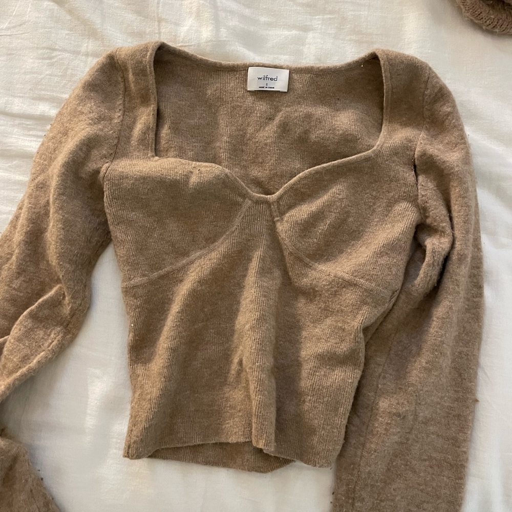 Aritizia Wilfred Greer sweater
